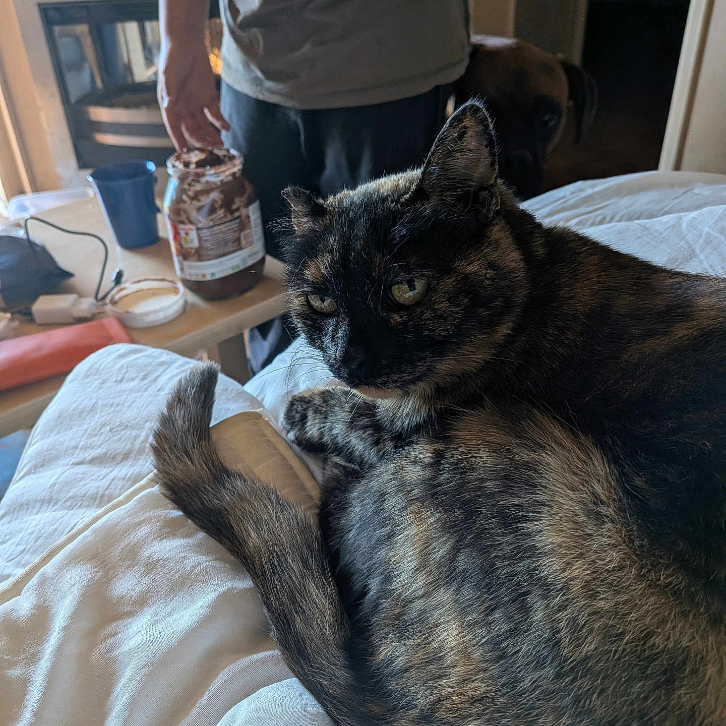 Fiona