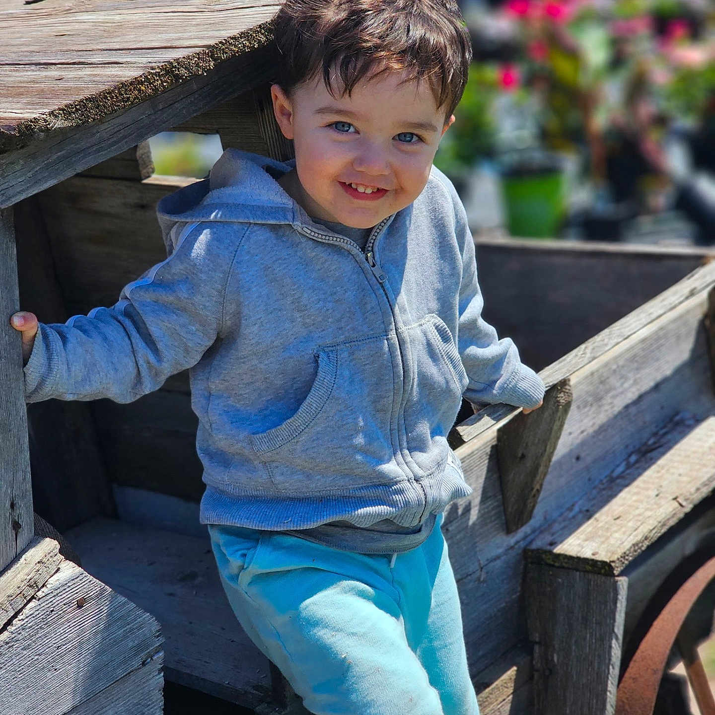 Kado joined the competition — help win amazing prizes! child, boy, smiling, hoodie, blue_pants, wooden_wagon, outdoor, daylight, flowers, garden, playful, happy, portrait, casual_clothing, rustic, wood, sunlight, cute, kid, nature