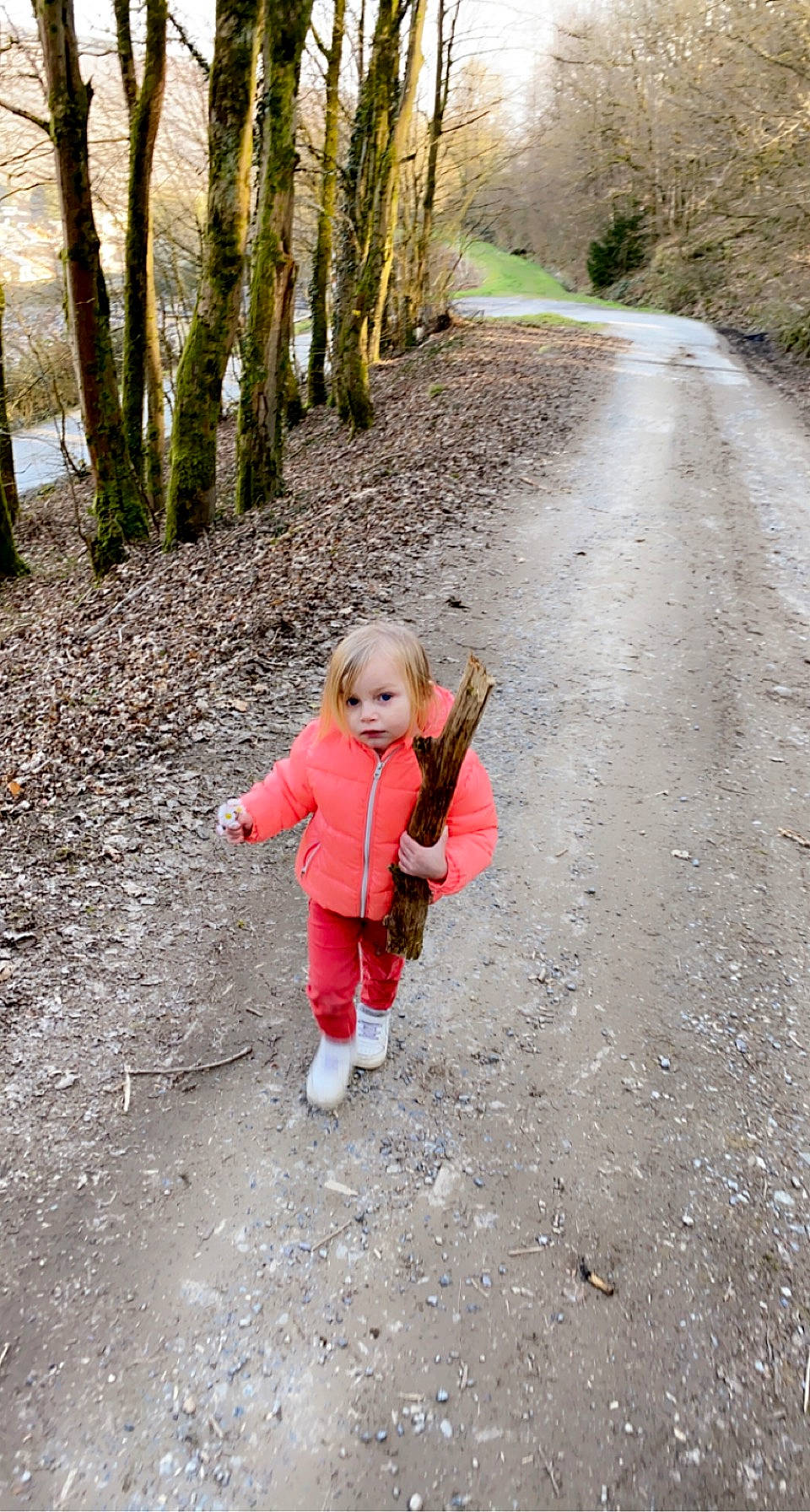 Lana participe au concours pour gagner de l'argent avec cette photo : asphalt, child, deciduous, forest, grass, landscape, leaf, leisure, natural_landscape, people_in_nature, person, plant, recreation, road_surface, sidewalk, soil, toddler, trail, tree, walking