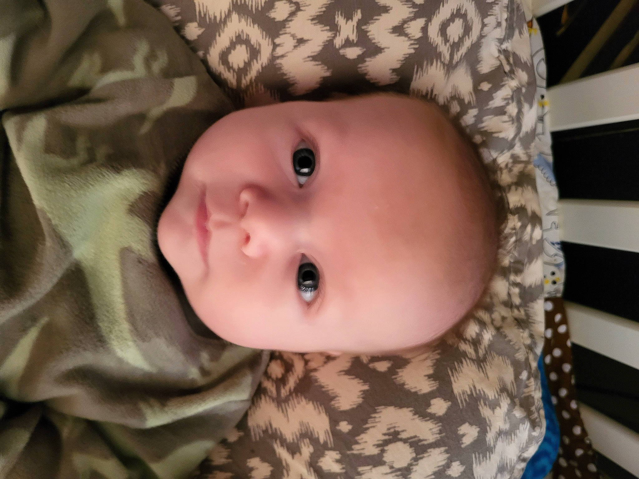 Waylon joined the competition — help win amazing prizes! baby, baby_toddler_clothing, cheek, child, eye, eyebrow, eyelash, face, fur, head, human_body, iris, lip, nose, pattern, person, portrait_photography, sitting, skin, sleeve