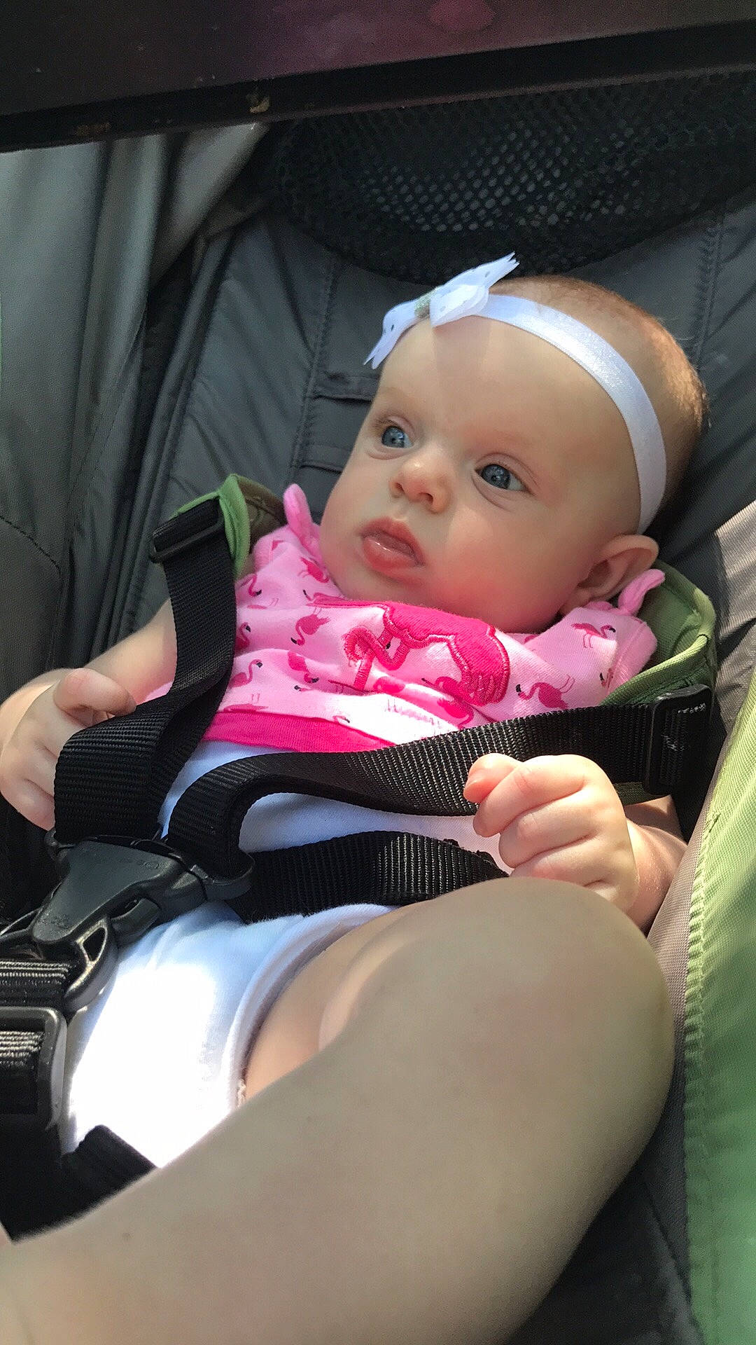 Kaylee joined the competition — help win amazing prizes! baby_carriage, baby_products, black_hair, car_seat, child, girl, human_hair_color, infant, lap, leg, person, pink, product, sitting, skin, toddler