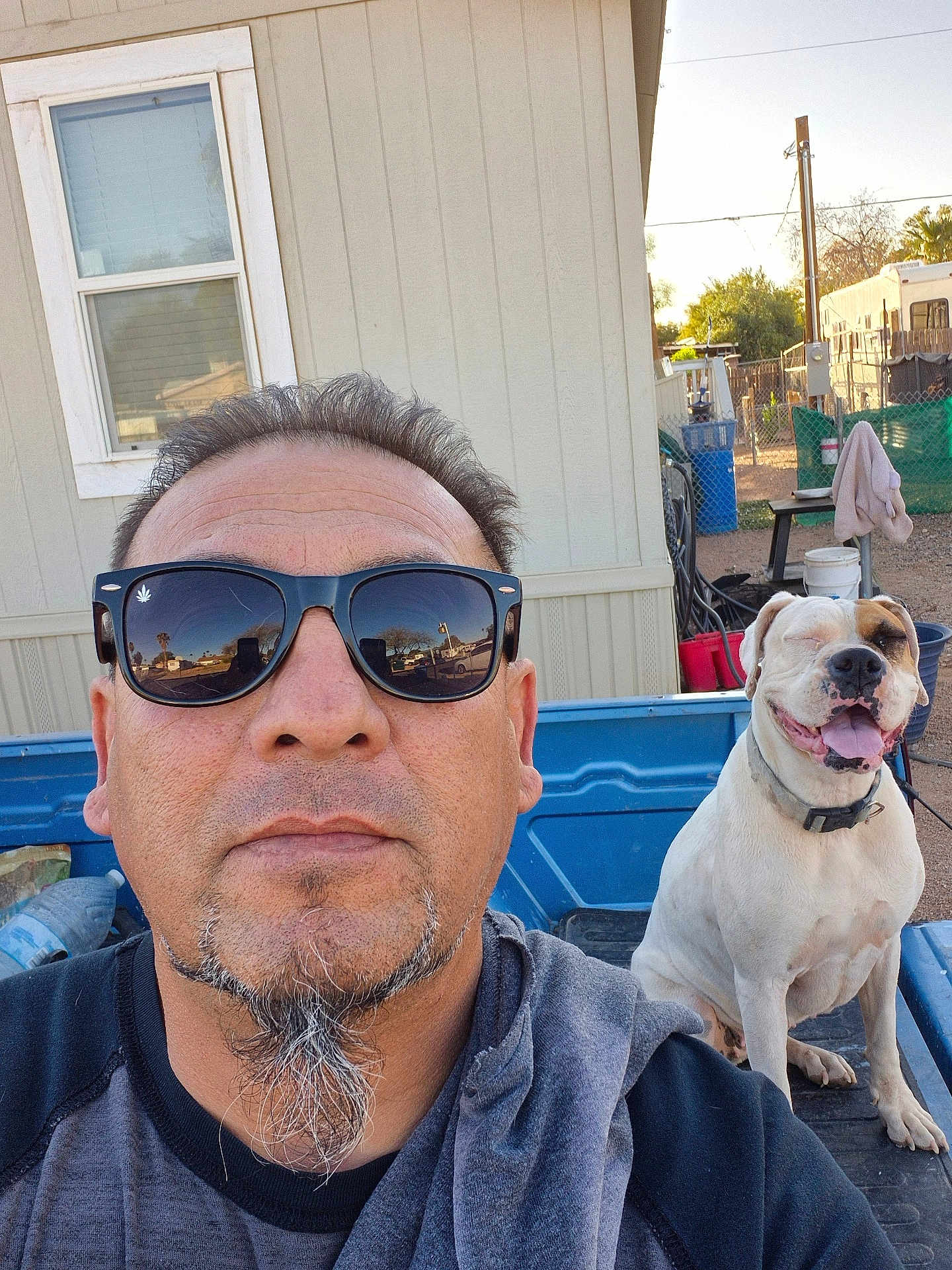 Bella Soto is registered to the contest to win money with this photo: man, dog, selfie, sunglasses, pickup_truck, outdoor, pet, smiling_dog, happy, beard, goatee, blue, white_dog, brown_patch, fence, window, house, sunlight, casual_clothing, daytime