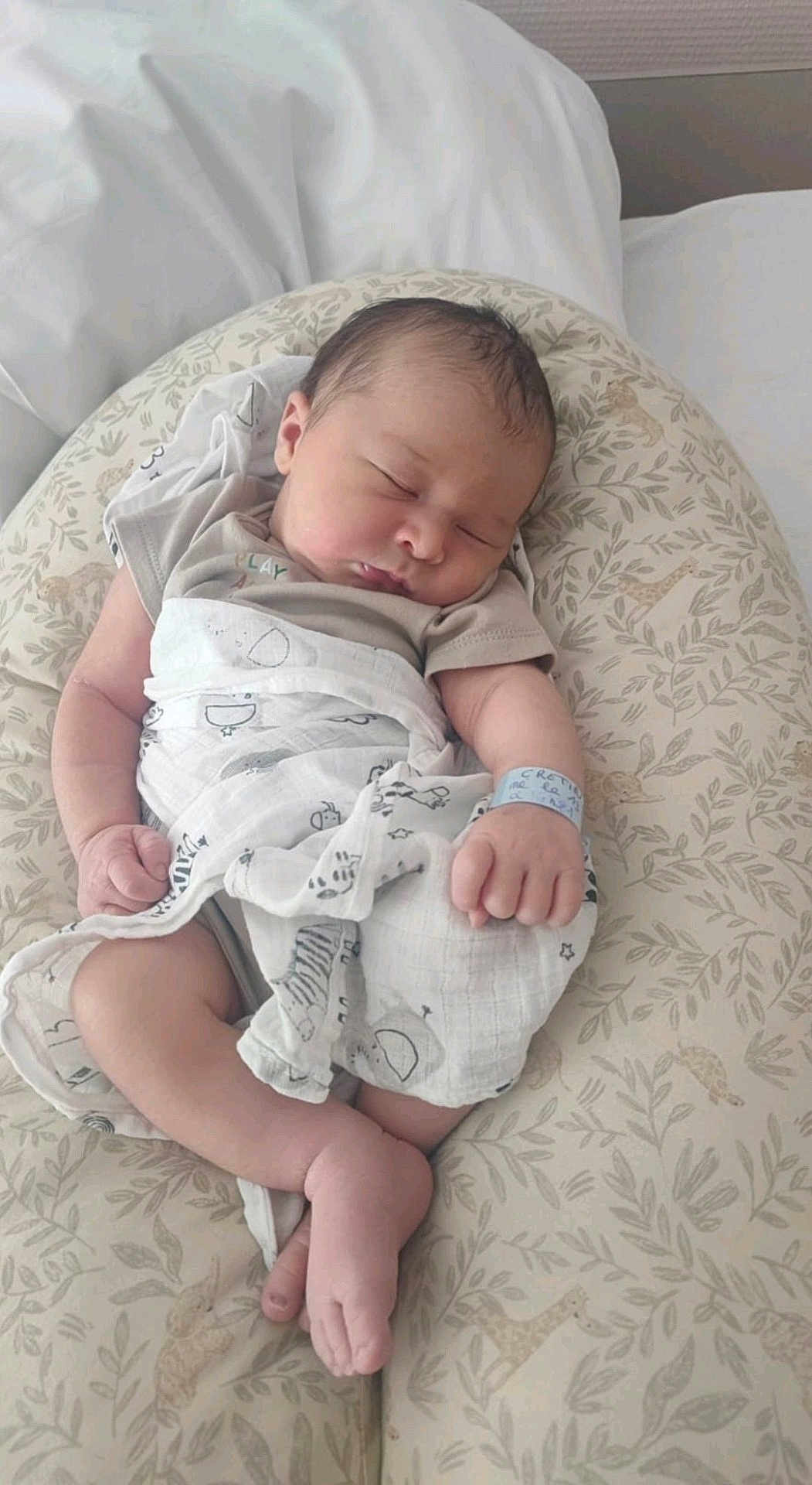 Ezra a rejoint le concours — aidez-le/la à gagner de superbes lots ! newborn, baby, sleeping, blanket, cushion, hospital_id_band, infant, soft_fabric, animal_print, leaf_pattern, peaceful, resting, wrapped, indoors, closeup, cute, small_hands, small_feet, head, portrait