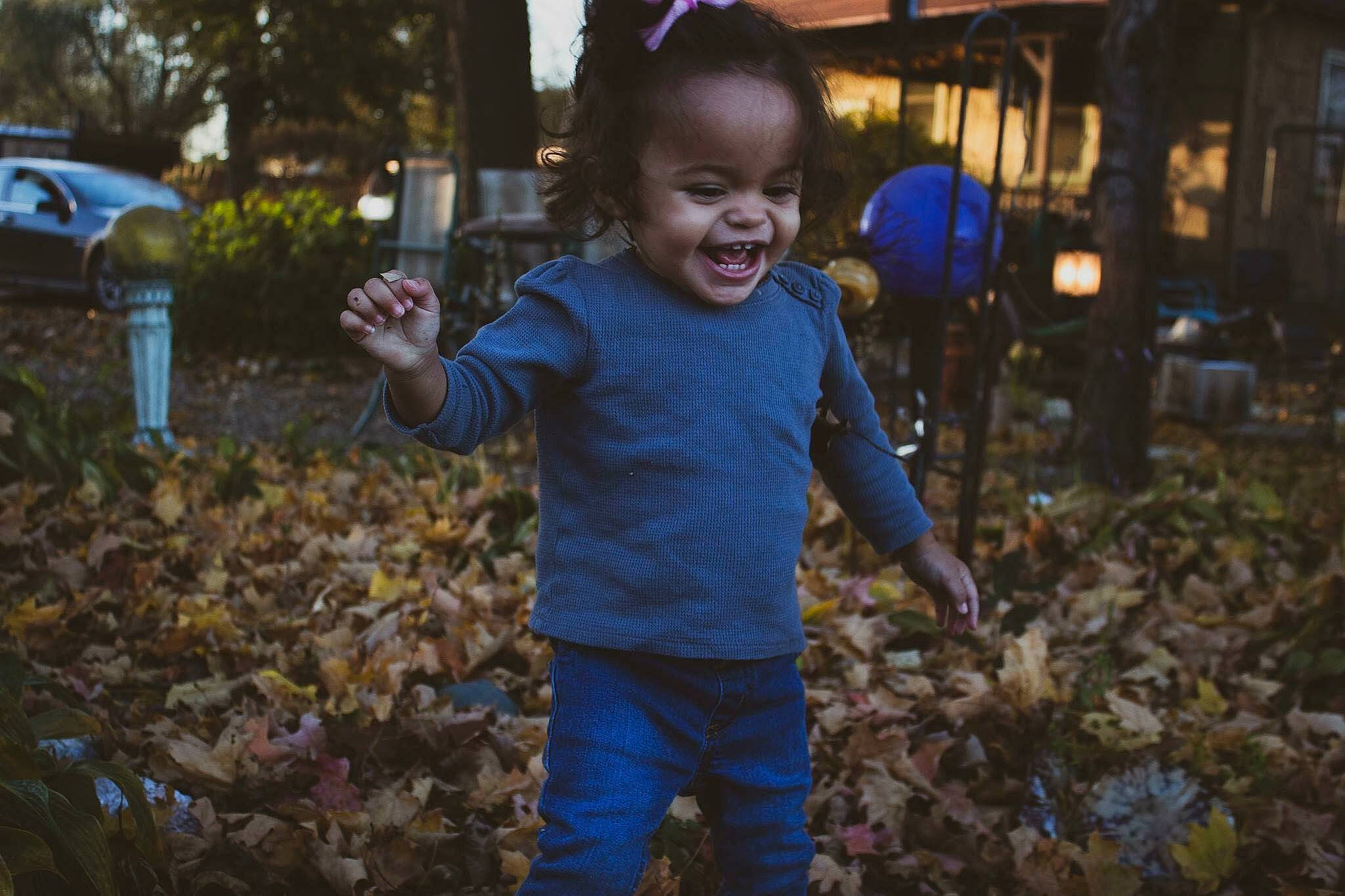 Sawyer is registered to the contest to win money with this photo: autumn, blue, boy, child, emotion, facial_expression, fun, girl, male, night, person, plant, play, recreation, smile, toddler, tree, vertebrate, winter, world