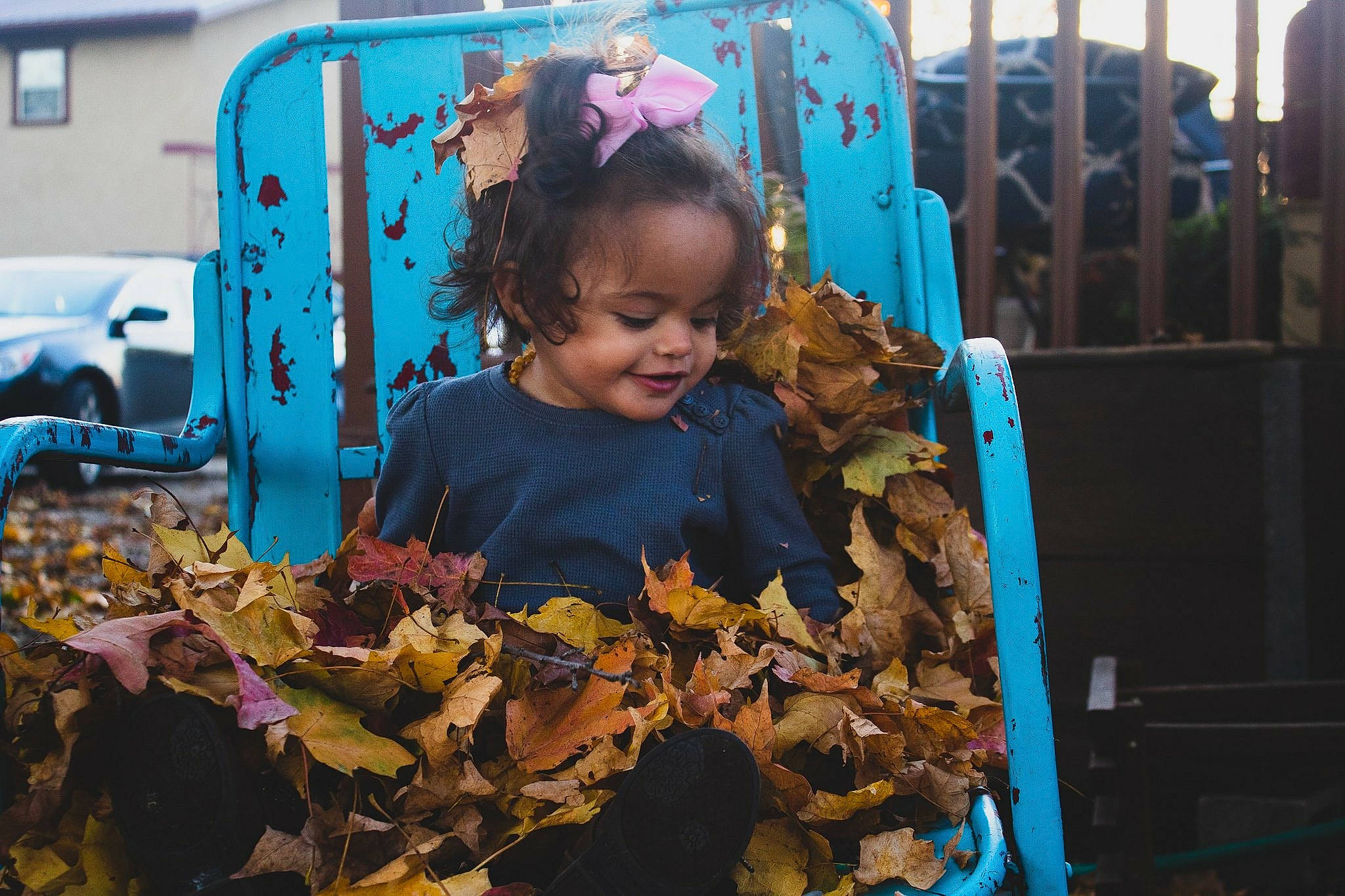 Sawyer joined the competition — help win amazing prizes! blue, child, fun, girl, leaf, person, plant, play, recreation, toddler, tree, vacation