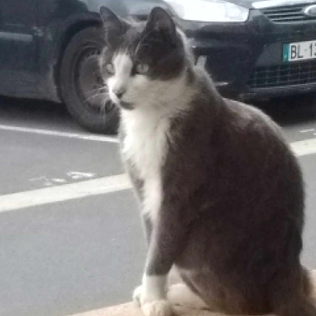 Zeus