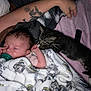 Brileyann is registered to the contest to win money with this photo: baby, sleeping, blanket, kitten, cat, tattoo, arm, pacifier, bed, rest, cozy, soft, cute, animal, child, nap, indoor, comfort, person, pet