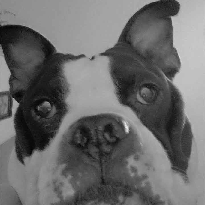 Diego