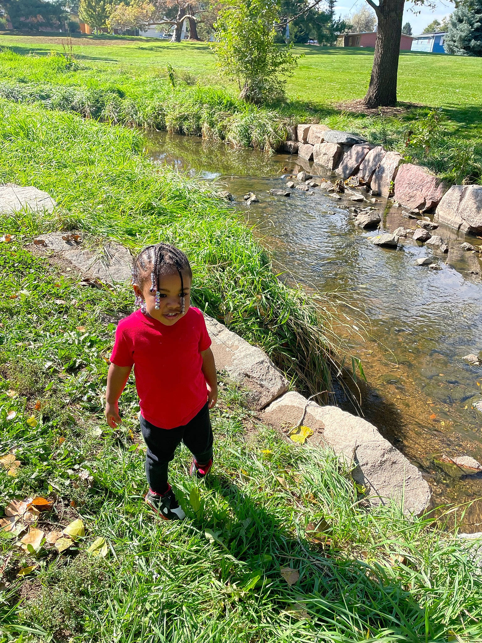 Mila-marie is registered to the contest to win money with this photo: botany, grass, grass_family, grassland, green, groundcover, landscape, leisure, natural_landscape, nature, people_in_nature, person, plant, plant_community, rural_area, shrub, spring, terrestrial_plant, tree, vegetation