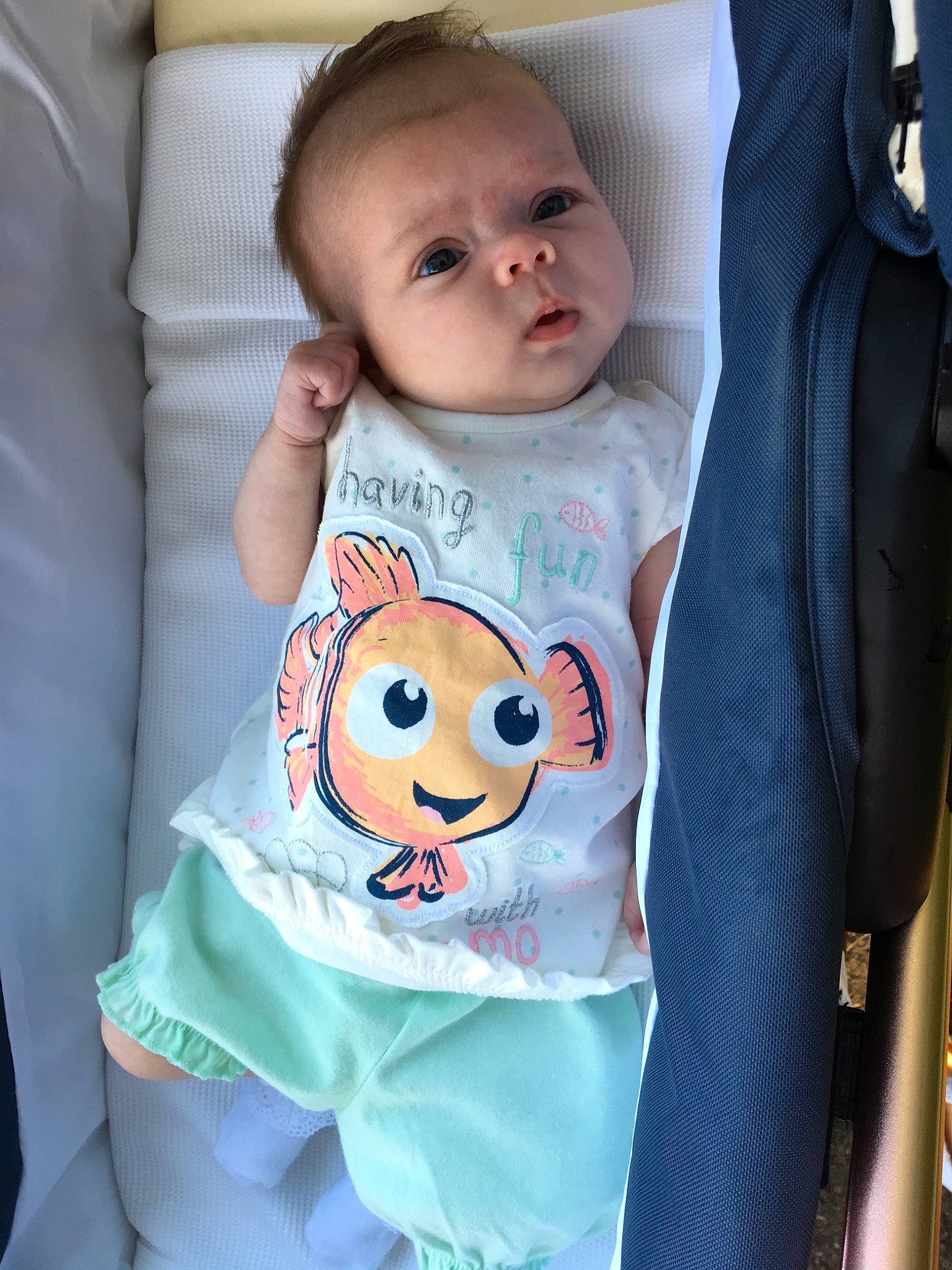 Belle is registered to the contest to win money with this photo: baby, baby_products, baby_toddler_clothing, cheek, child, head, outerwear, person, product, skin, sleeve, toddler