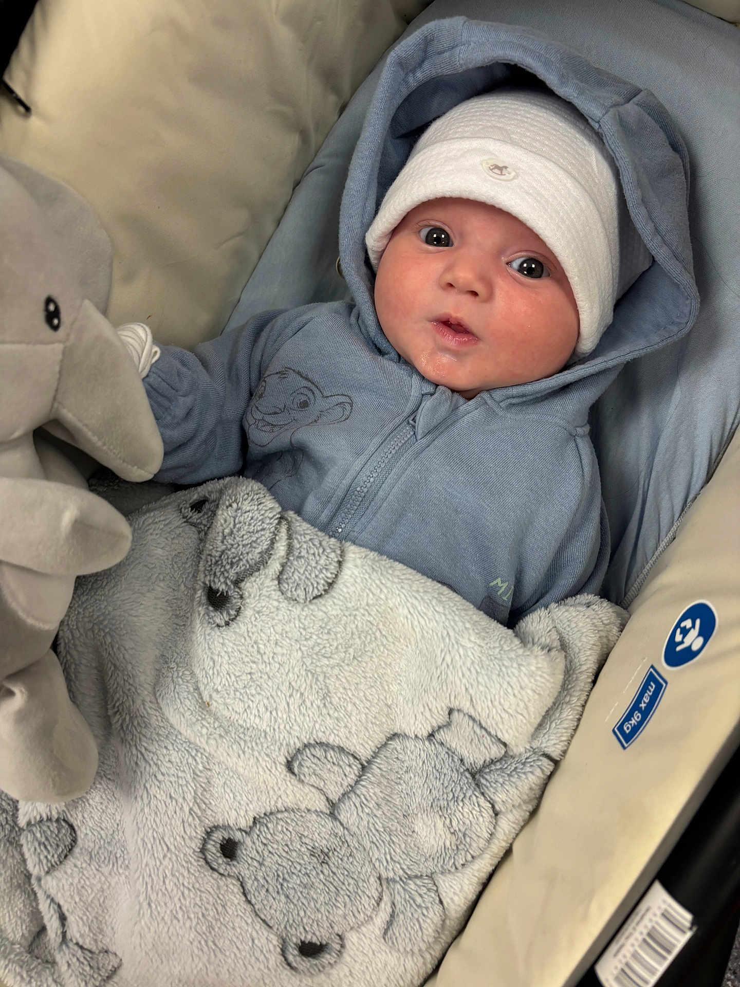 Albie