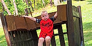 Almanzo a rejoint le concours — aidez-le/la à gagner de superbes lots ! child, boy, red_clothing, spiderman, wooden_cart, park, outdoor, trees, grass, sunlight, playground, nature, casual, shorts, shoes, summer, person, young, forest, daytime