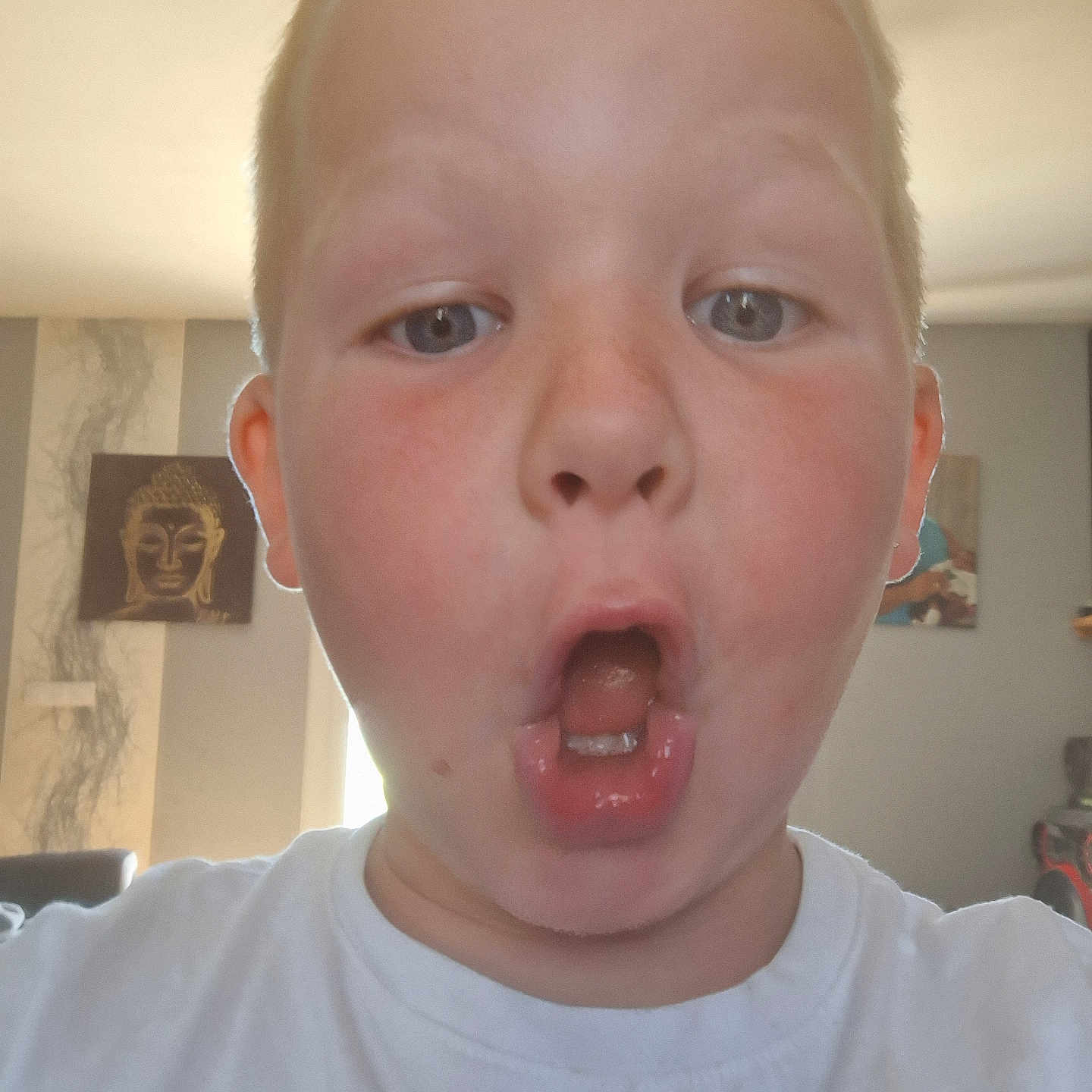 Almanzo participe au concours pour gagner de l'argent avec cette photo : blond_hair, casual, child, close_up, expression, eyes, face, head_and_shoulders, home, indoor, light, mouth_open, person, portrait, selfie, skin, surprised, wall_art, white_shirt, young