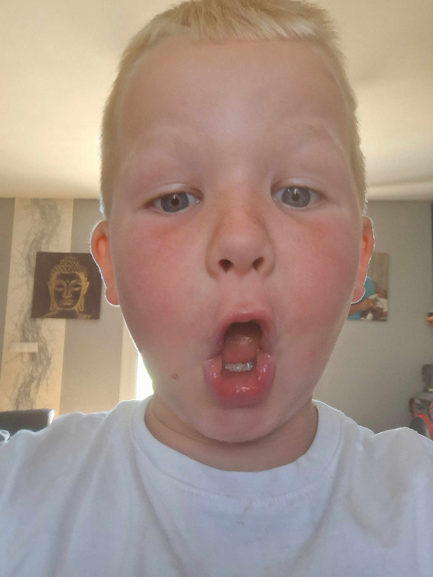 Almanzo participe au concours pour gagner de l'argent avec cette photo : child, face, close_up, expression, indoor, selfie, blond_hair, white_shirt, mouth_open, surprised, casual, portrait, home, wall_art, person, young, head_and_shoulders, skin, eyes, light