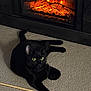black_cat, cat, fireplace, carpet, indoor, cozy, warmth, pet, feline, animal, wooden_stick, relaxing, alert, home, comfort, domestic, fur, eyes, lying_down, mammal