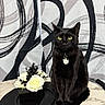 black_cat, cat, yellow_eyes, flower_arrangement, table, abstract_background, black_and_white, portrait_mode, indoor, pet, animal, feline, sitting, collar, tag, plant, decor, modern_art, still_life, phone_screenshot