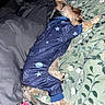 animal, bed, blanket, canine, clothing, cozy, cute, dog, floral, fur, gray, green, indoor, pajamas, patterned, paw, pet, resting, sleeping, small_dog