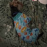 animal, blanket, bones, carpet, comfort, cozy, cute, dog, domestic_animal, fur, indoor, mammal, pajamas, pattern, paw_prints, pet_bed, relaxation, resting, sleeping, textile