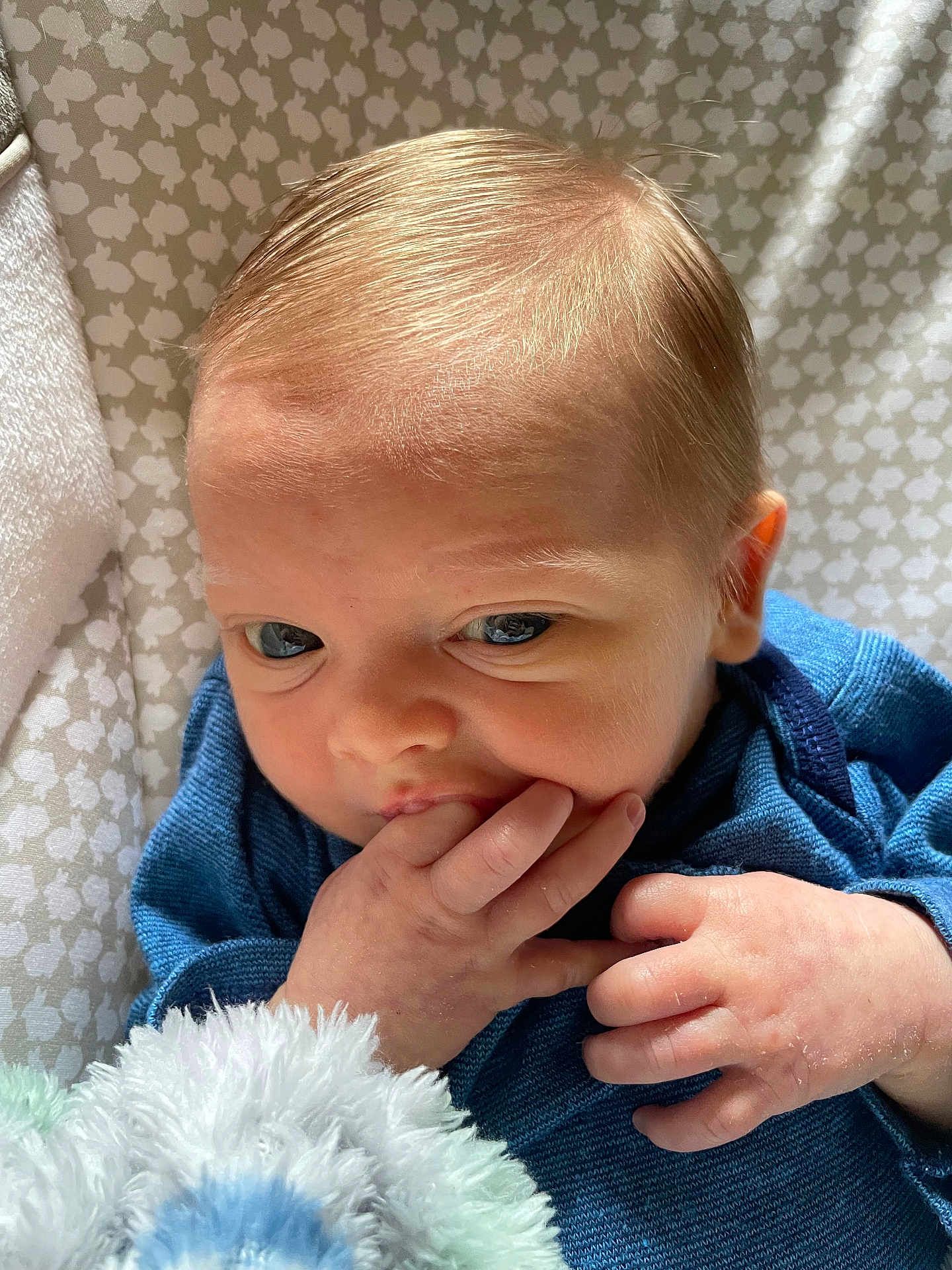 Parker joined the competition — help win amazing prizes! baby, infant, face, hand, fingers, blue_clothing, toy, plush, close_up, patterned_background, cute, skin, head, expression, newborn, indoors, soft_texture, portrait, young_child, toddler