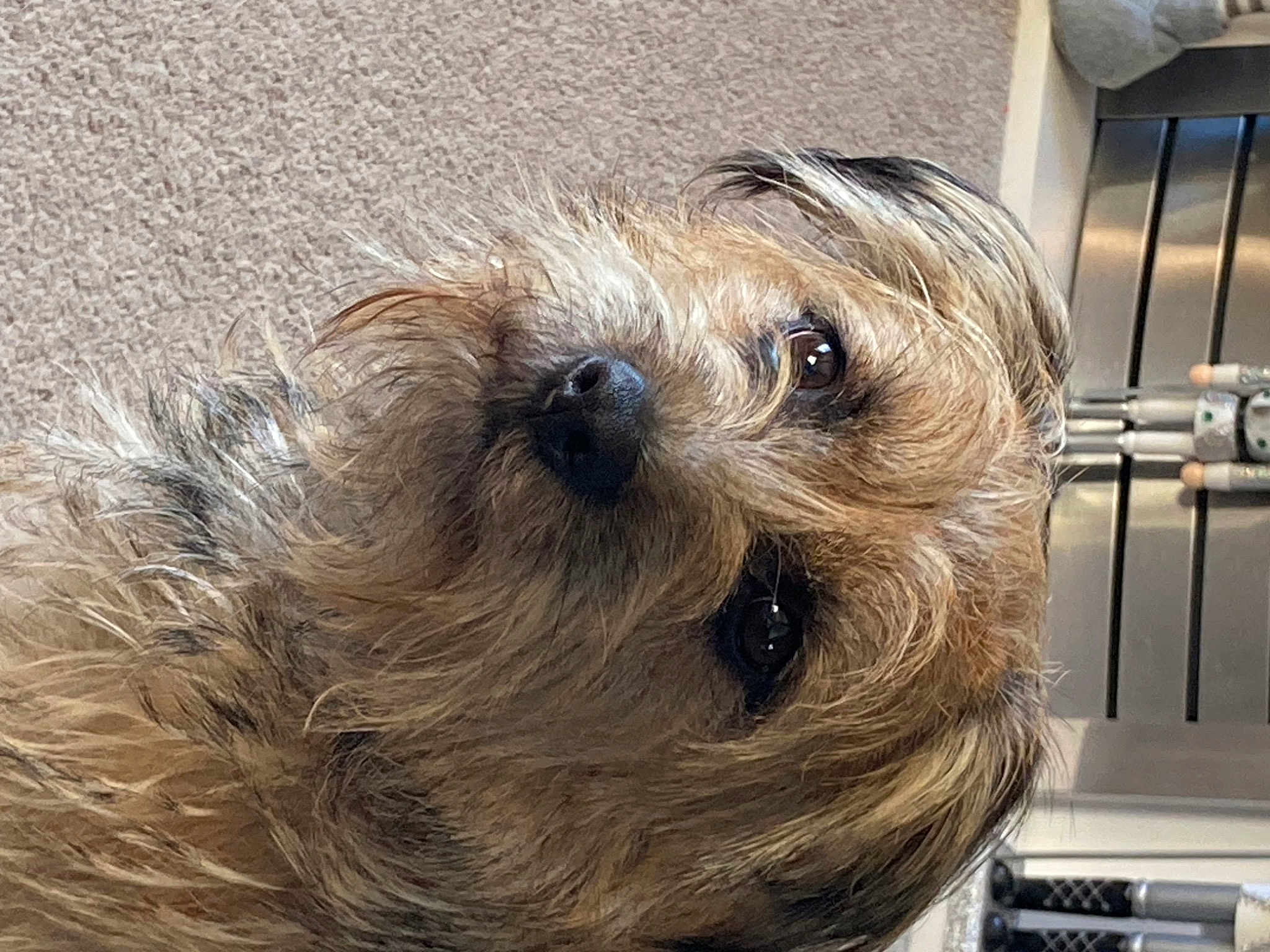 Ernie