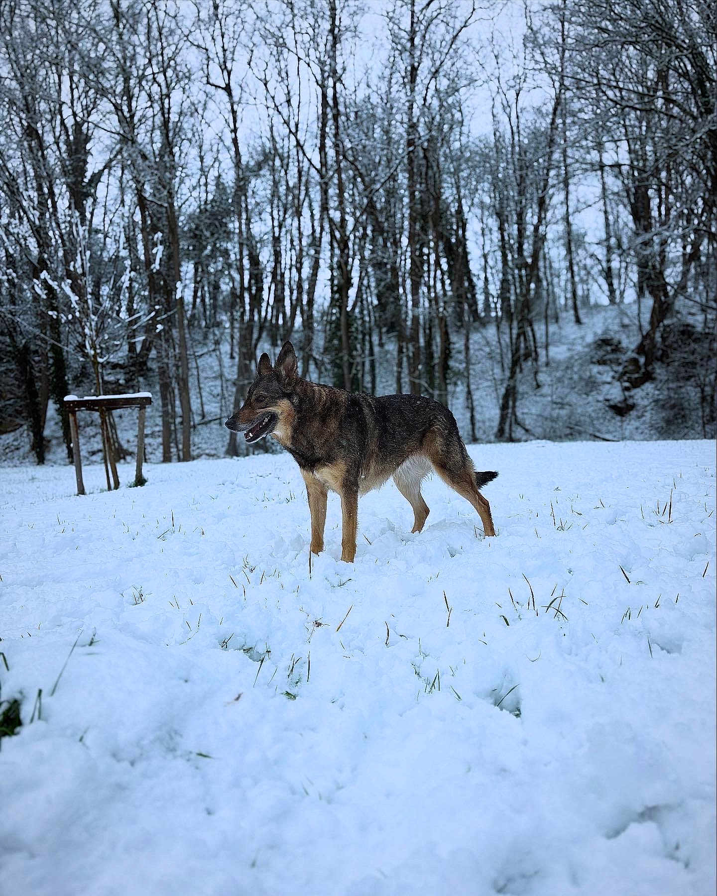 Kira