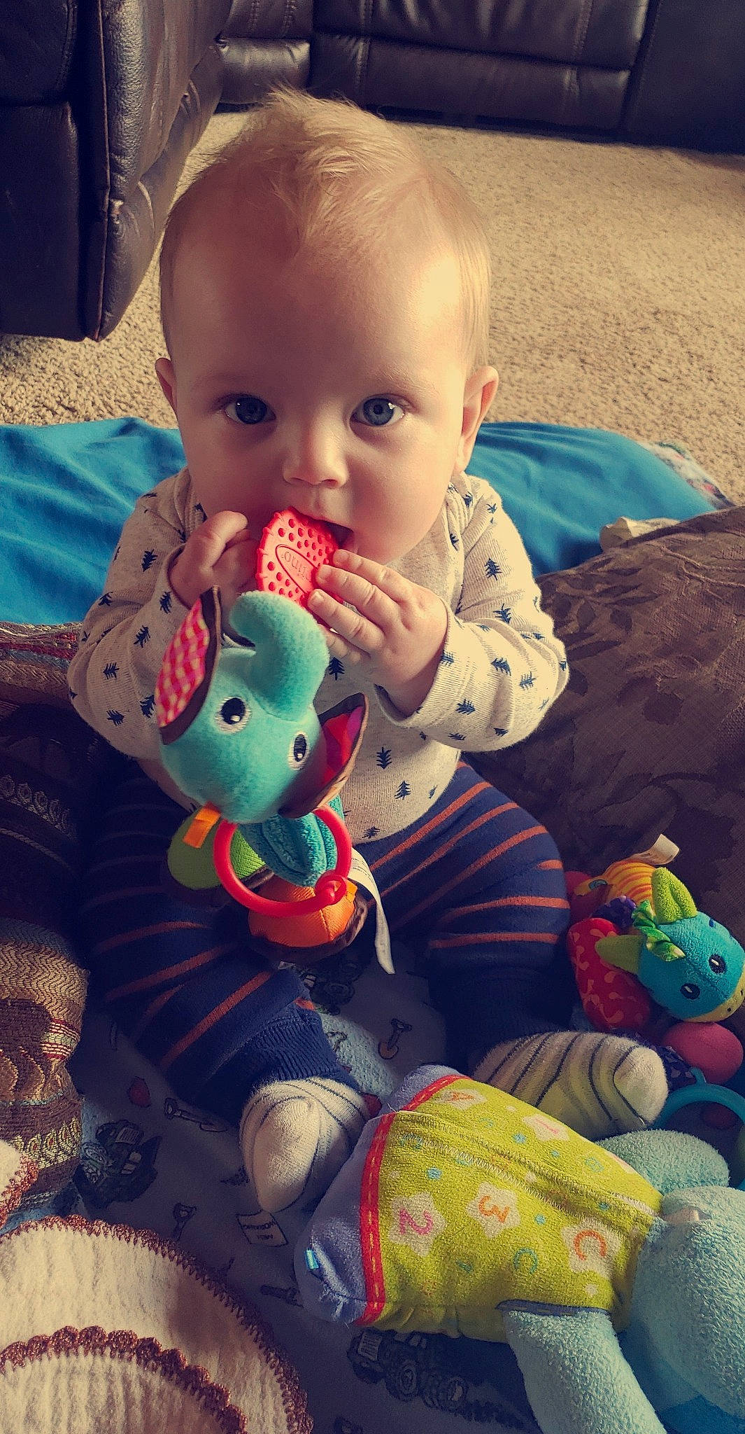 Kash joined the competition — help win amazing prizes! baby, baby_toys, cheek, child, eye, face, head, person, play, plush, sitting, skin, stuffed_toy, toddler, toy