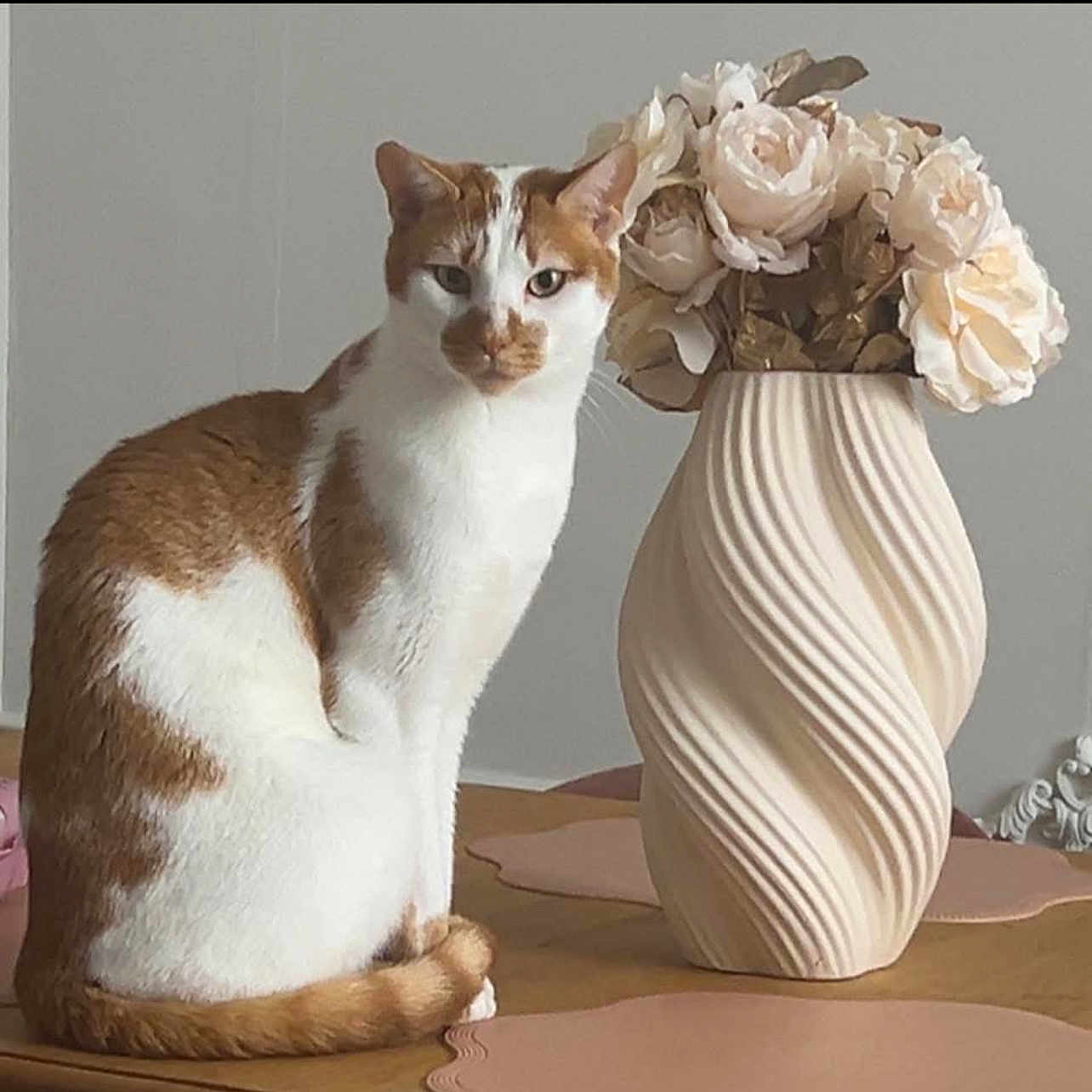 Muezza participe au concours pour gagner de l'argent avec cette photo : cat, orange_and_white, sitting, vase, flowers, pink_flowers, table, indoor, decor, pet, animal, fur, whiskers, calm, still_life, home, cozy, domestic, feline, ornamental