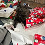 cat, gray_cat, pet, playing, packing_peanuts, wrapping_paper, christmas_theme, holiday, indoor, carpet, box, brick_wall, person_hand, festive, decor, curious, feline, closeup, domestic_animal, cozy