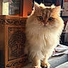Winston is registered to the contest to win money with this photo: