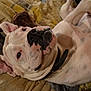 ERKOS participe au concours pour gagner de l'argent avec cette photo :