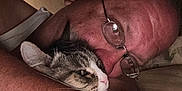 Baby is registered to the contest to win money with this photo: adult, affection, animal, bed, cat, close_up, comfort, cuddle, facial_expression, feline, glasses, hug, human, indoor, man, pet, relaxation, skin, tabby_cat, whiskers