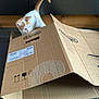animal, cabinet, cardboard_box, cat, curiosity, curious, domestic_cat, exploration, feline, floor, home, indoor, kitten, orange_and_white, pet, playful, small_animal, tile_floor, wood, young_cat