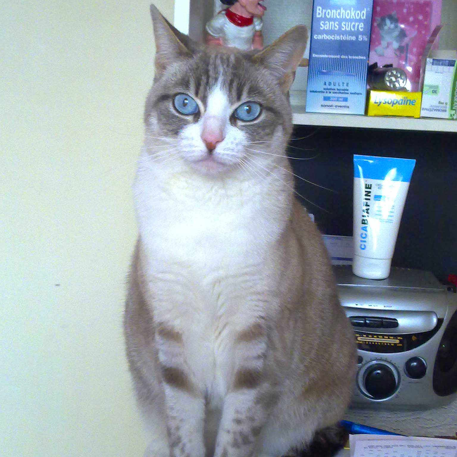 Flesi a rejoint le concours — aidez-le/la à gagner de superbes lots !