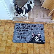 Viking participe au concours pour gagner de l'argent avec cette photo :