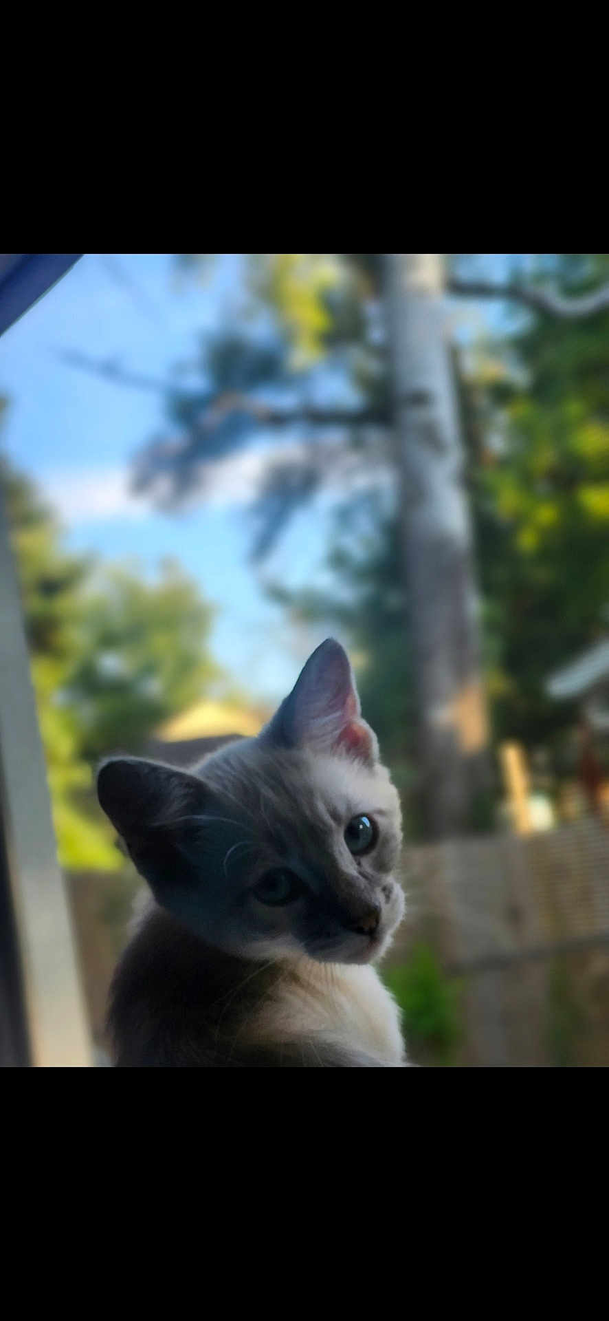 Baby
