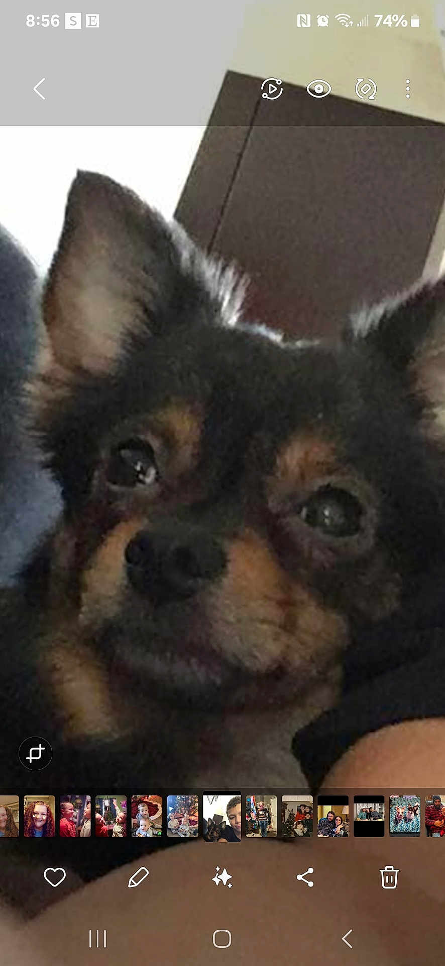 Lola