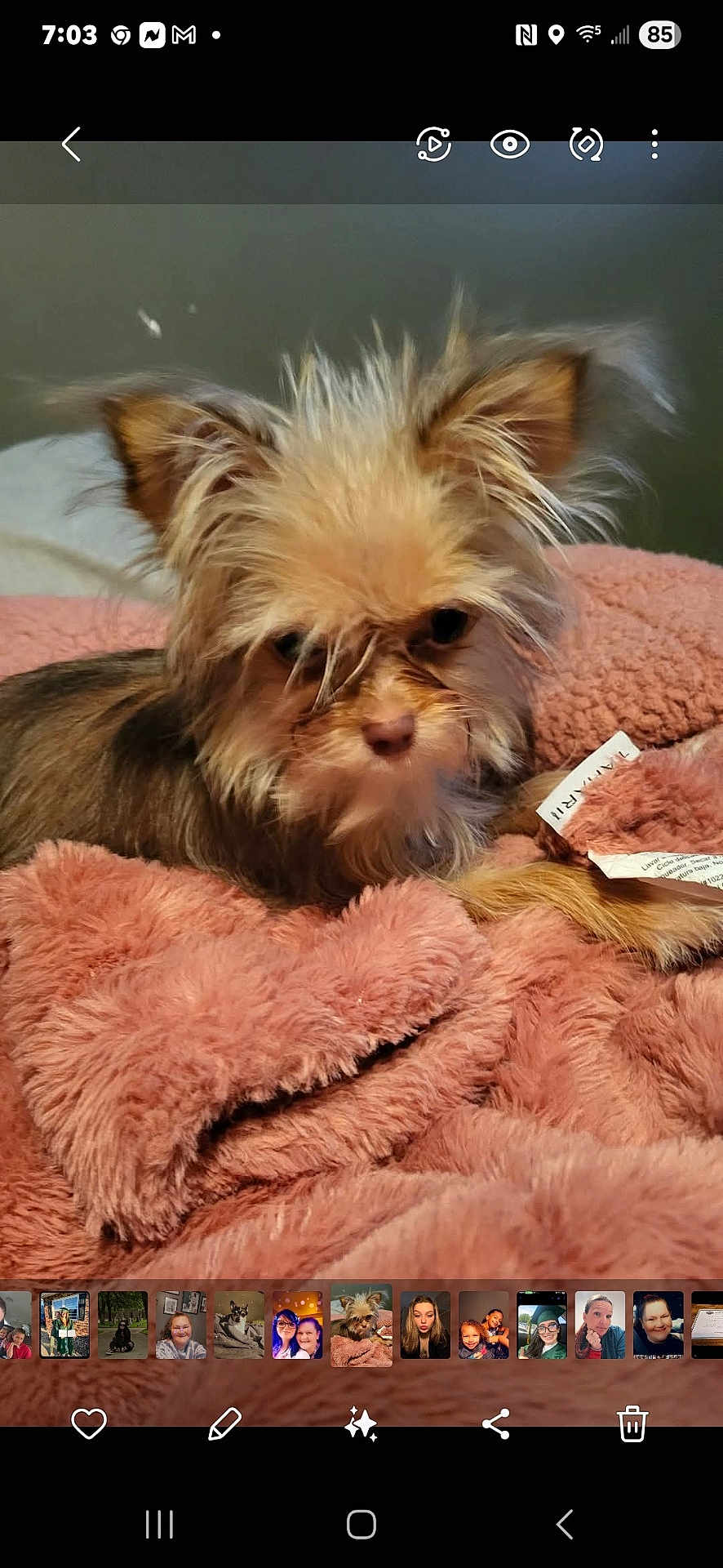 Bella