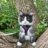 cat, black_and_white_cat, fluffy, longhaired, whiskers, green_eyes, pink_nose, purple_harness, leash, tree, tree_branch, forest, woodland, outdoors, nature, foliage, sitting, pet, animal_portrait, cute