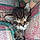 Mylo