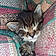 Mylo
