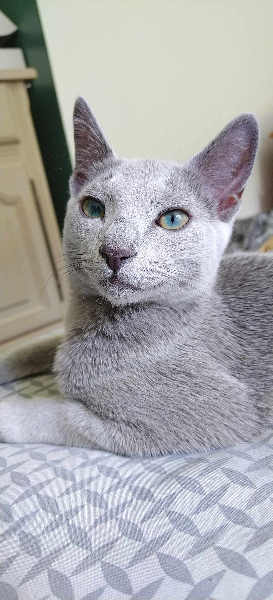 Alvin