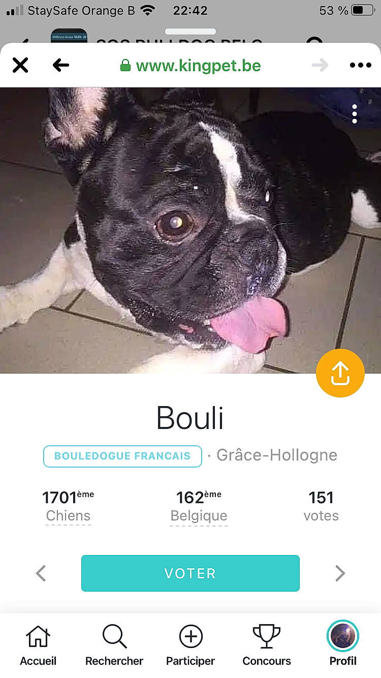 Eux participe au concours pour gagner de l'argent avec cette photo : black, carnivore, colorfulness, dog, dog_breed, fawn, font, photograph, photography, pink, product, puppy, screenshot, skin, snapshot, snout, technology, text, vertebrate, working_animal