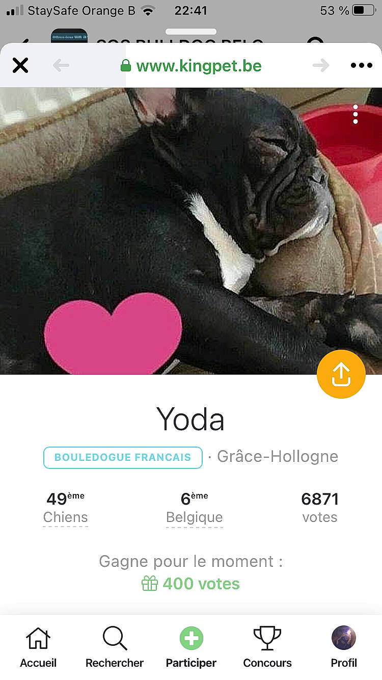 Eux participe au concours pour gagner de l'argent avec cette photo : canidae, carnivore, companion_dog, dog, dog_breed, font, heart, love, magenta, non_sporting_group, pink, pug, puppy, screenshot, snout, terrestrial_animal, text, toy_dog, vertebrate, working_animal