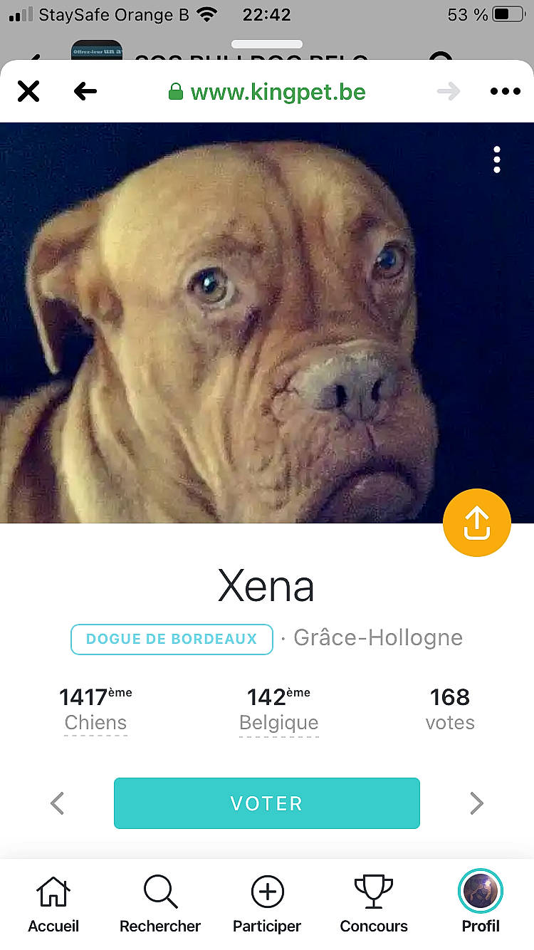 Eux a rejoint le concours — aidez-le/la à gagner de superbes lots ! carnivore, circle, colorfulness, companion_dog, dog, dog_breed, fawn, font, jaw, number, ori_pei, photo_caption, photograph, photography, screenshot, skin, snout, tan, vertebrate, wrinkle