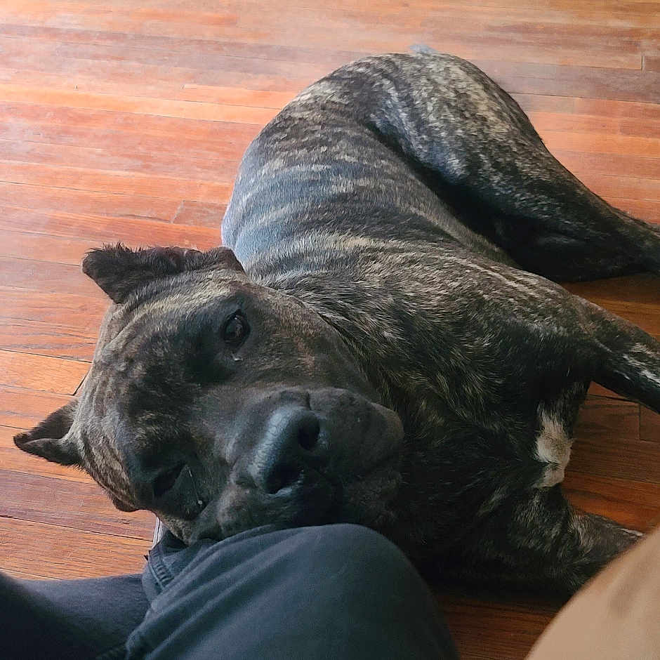 Rocky Canario García