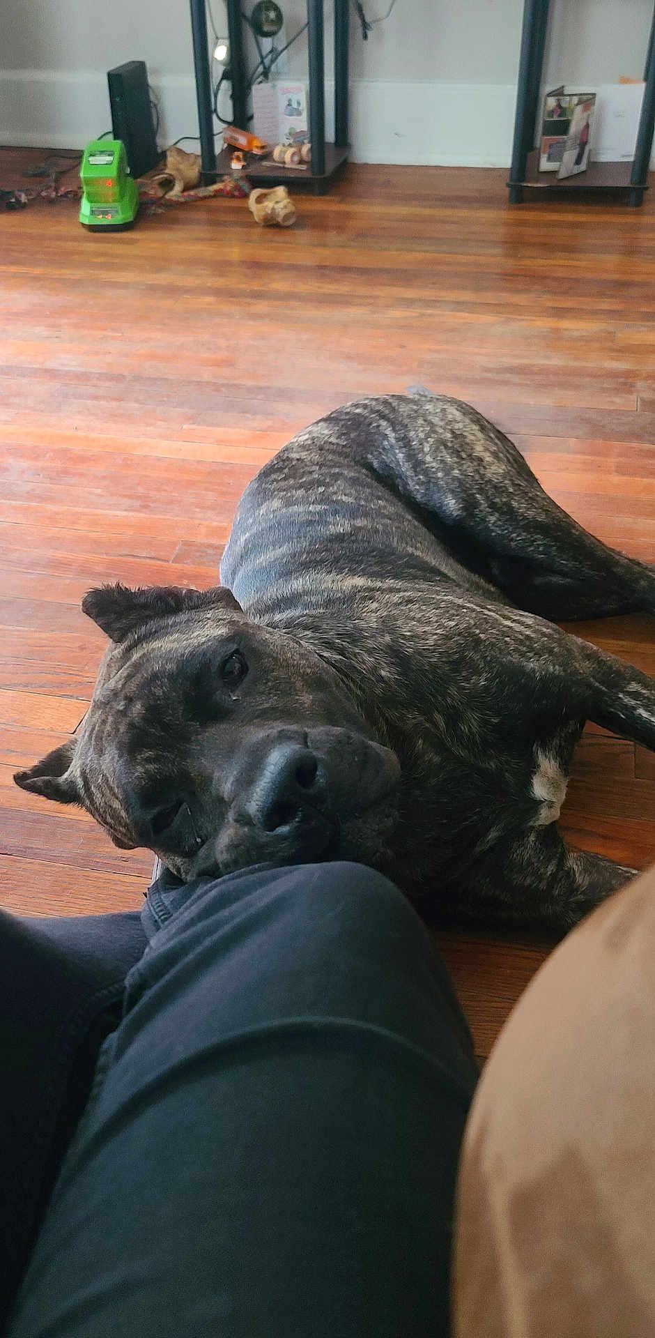 Rocky Canario García