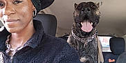 Rocky Canario García joined the competition — help win amazing prizes! person, dog, car_interior, hat, fleece_jacket, earrings, smile, tongue_out, seat, collar, chain, window, sunlight, leather_seat, happy, pet, animal, vehicle, portrait, casual_wear