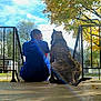Rocky Canario García is registered to the contest to win money with this photo: person, dog, porch, tree, autumn, leaves, sunlight, sky, fence, house, outdoor, back_view, sitting, animal, canine, nature, daytime, friendship, bond, relaxation