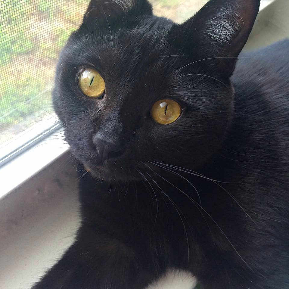 Kirito joined the competition — help win amazing prizes!