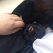 Kirito is registered to the contest to win money with this photo: